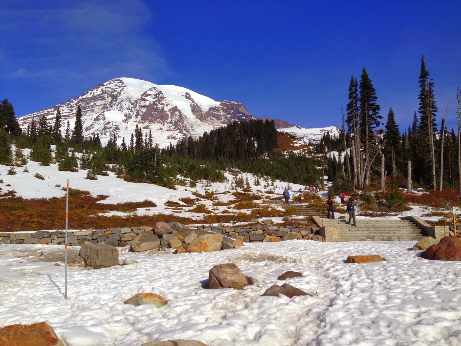 Visit Rainier FeeFree Weekend at Mt. Rainier this Veteran's Day