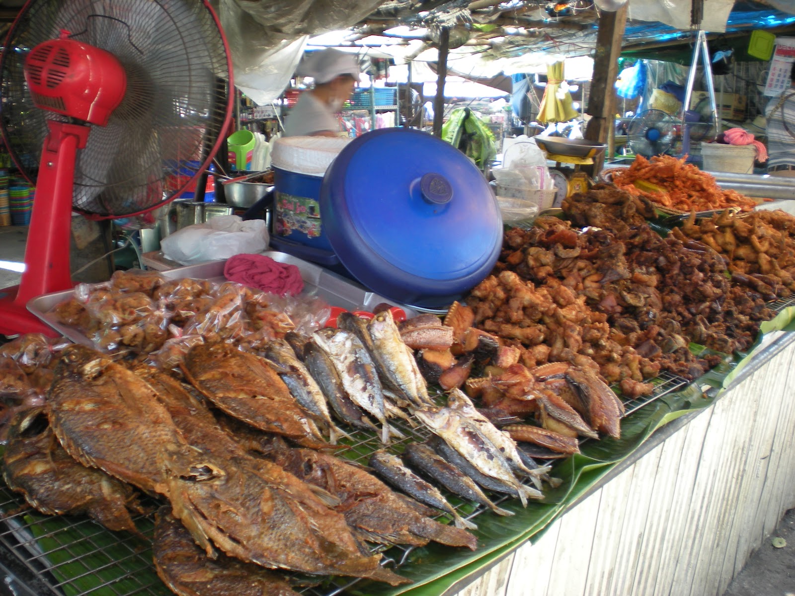 DSCN8117.JPG