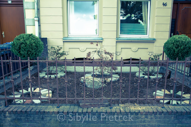 Gartenblick-Gartenfotografie: German Vorgarten
