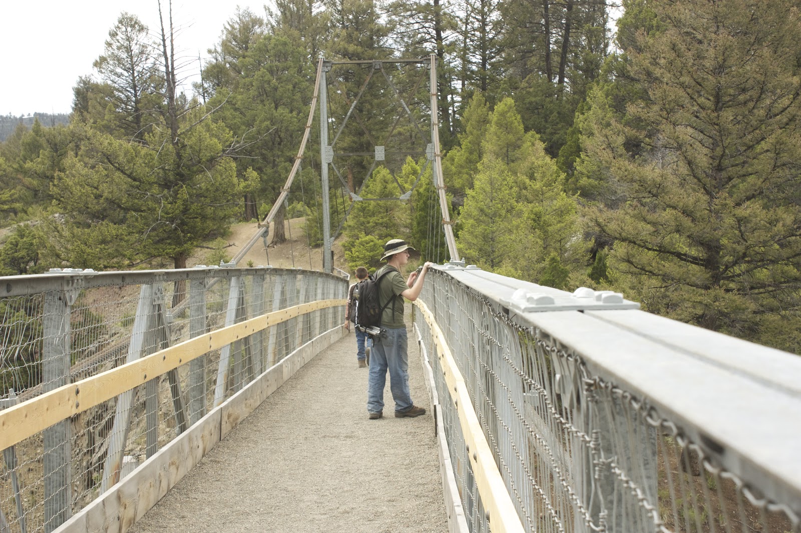 Peggy L Henderson Yellowstone Trail Hellroaring Creek
