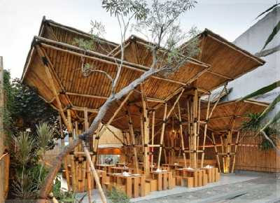 Konsep Sederhana Desain Warung Kopi TRADISIONAL dari Bambu Konsep Sederhana Desain Warung Kopi TRADISIONAL dari Bambu