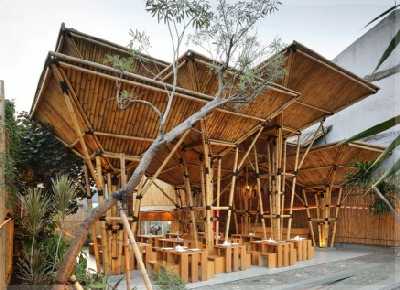 Ide Spesial Desain Warung Kopi Dari Bambu