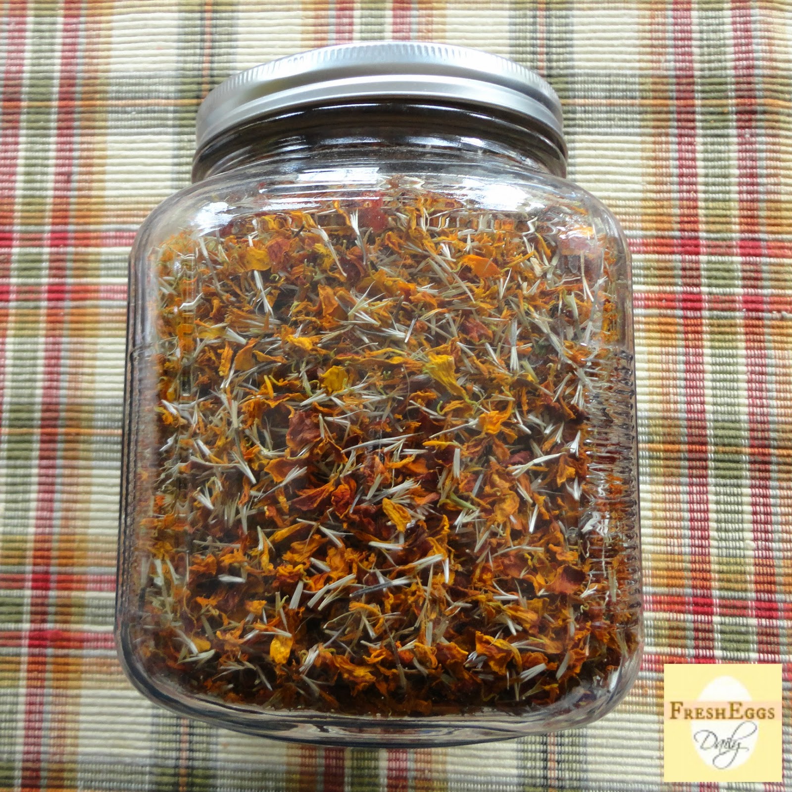 Marigolds for Orange Egg Yolks and Healthy Chickens Fresh Eggs Daily