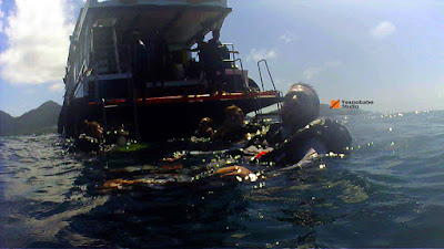 A group of divers from Big Blue Diving Koh Tao Thailand surfaces and wait for their turn to go back to the boat