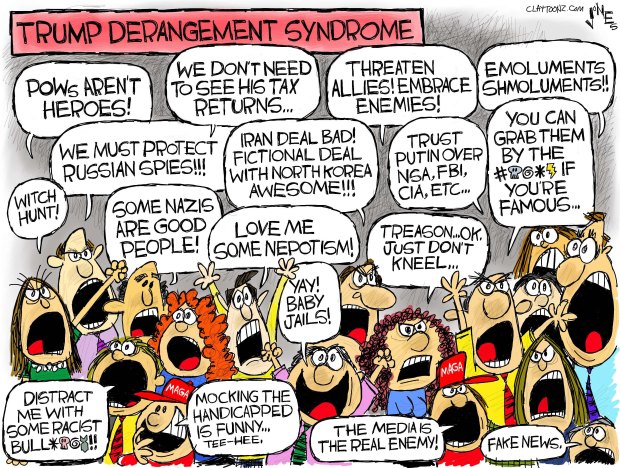 Title:  Trump Derangement Syndrome.  Image:  Crowd of people yelling things like 