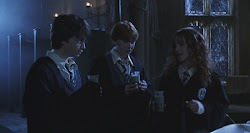 harry polyjuice potion chamber potter hermione secrets ron moments moment octobersky