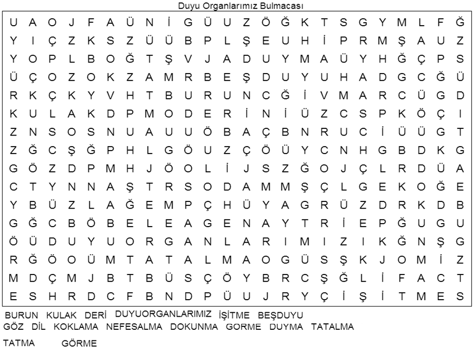 Duyu Organlarımız Sözcük Avı Bulmacası Çöz - Aktif Sınıf