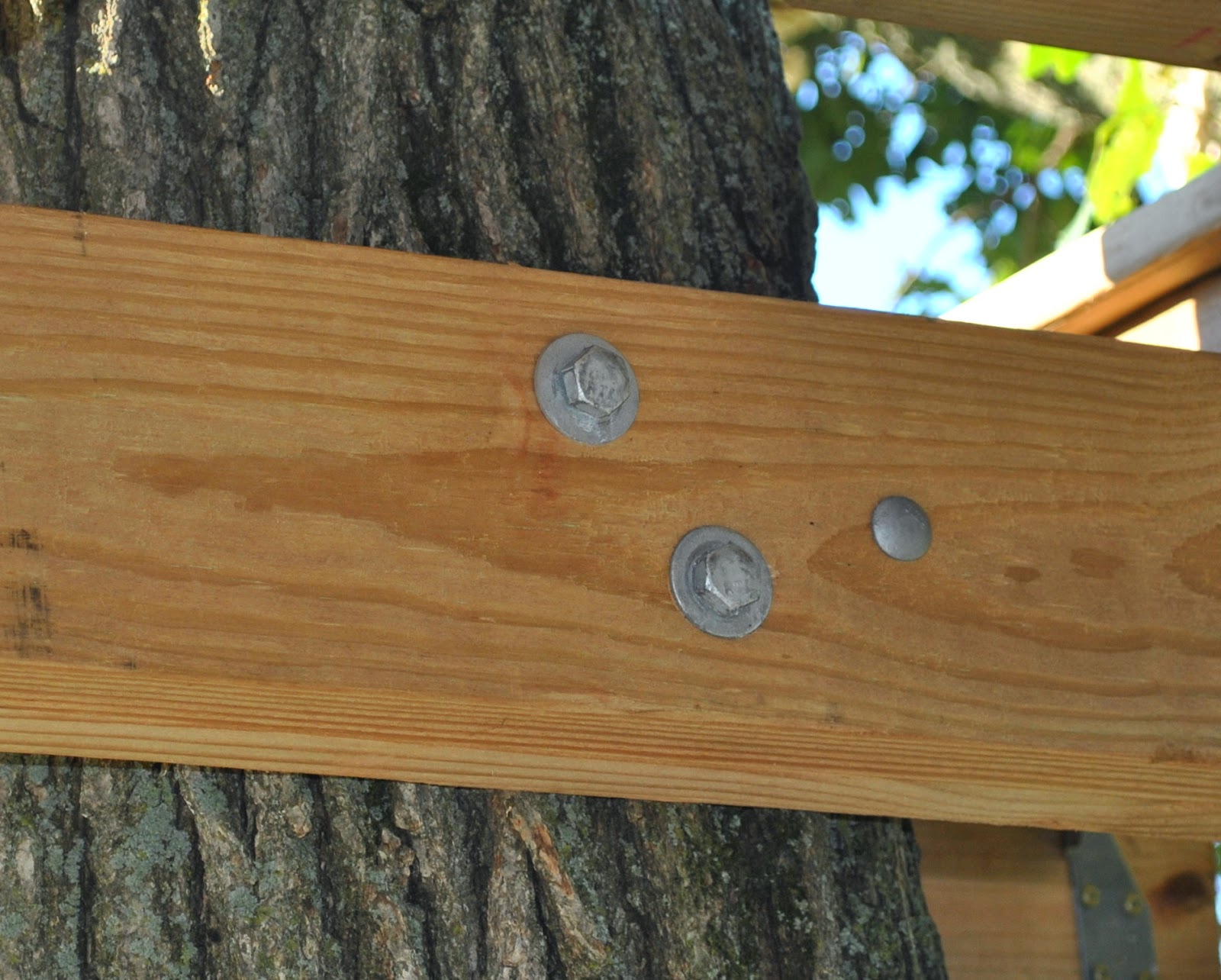 Seeing Jesus in Everything Treehouse Project The Beams and Platform