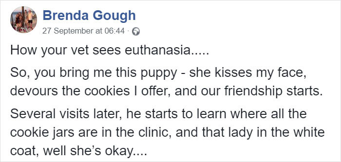 Vet Shares Heartbreaking Post Revealing The Truth About Euthanasia