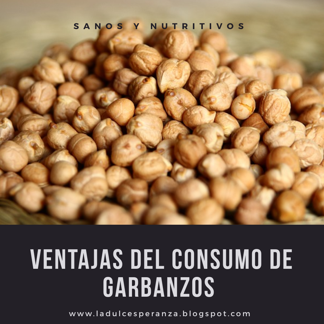 Que beneficios tiene garbanzo