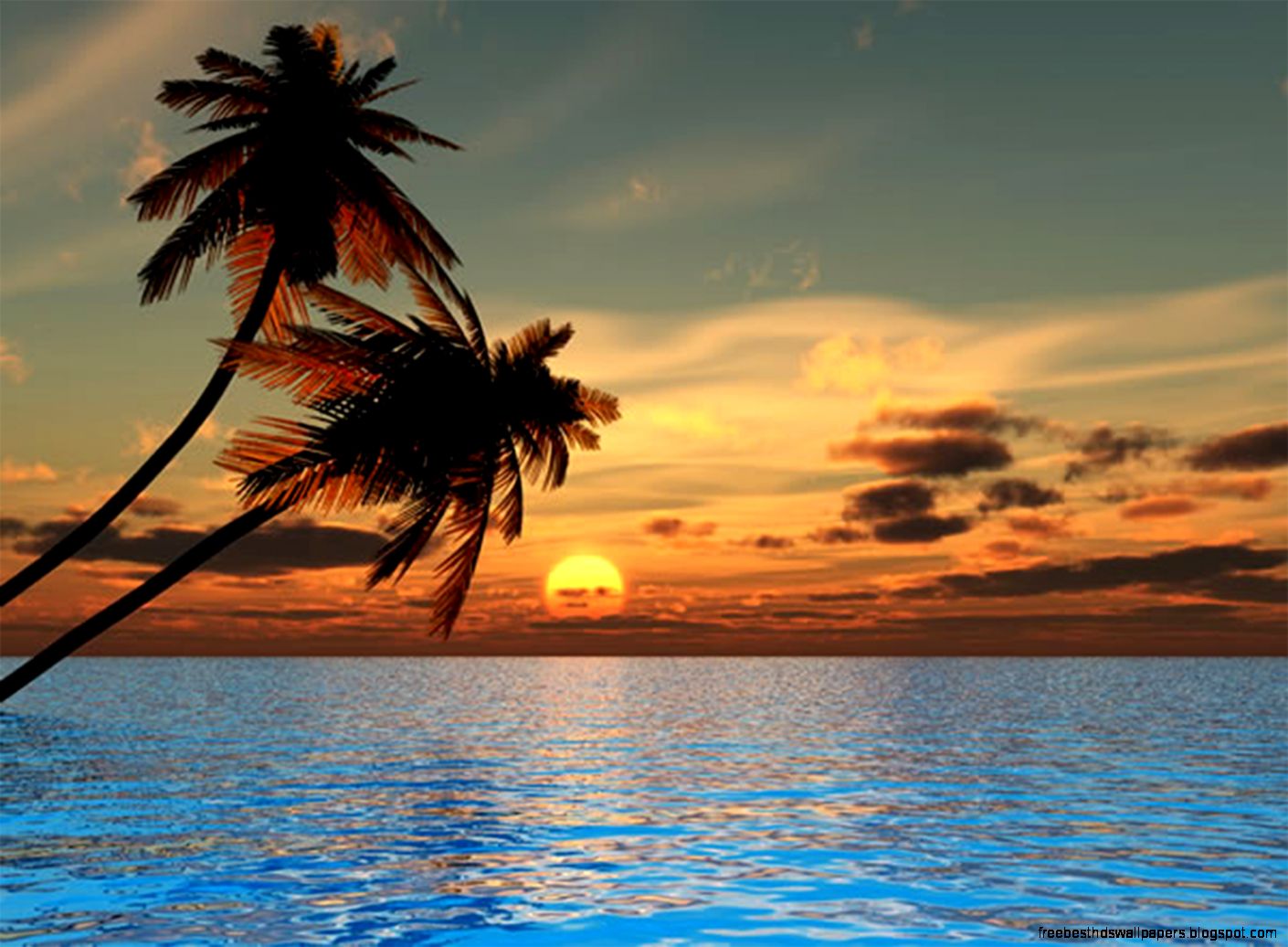 Palm Tree Beach Sunset