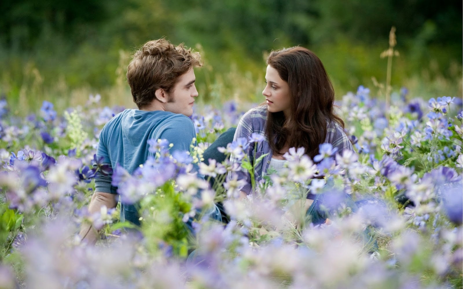 Twilight wallpapers HD - Beautiful wallpapers collection 2018