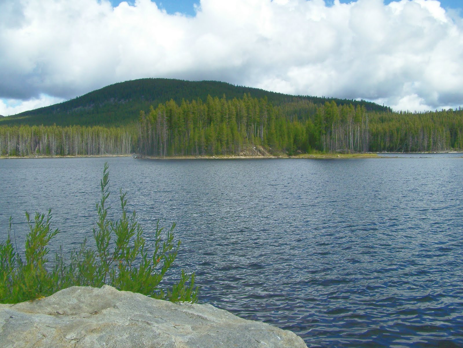 Lakes,Trails and Tales of the Golden Triangle Big Meadow Lake