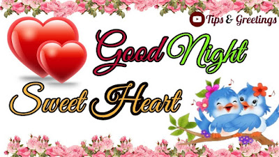 good night good night