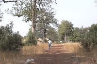 Burkina-Tengrela 1