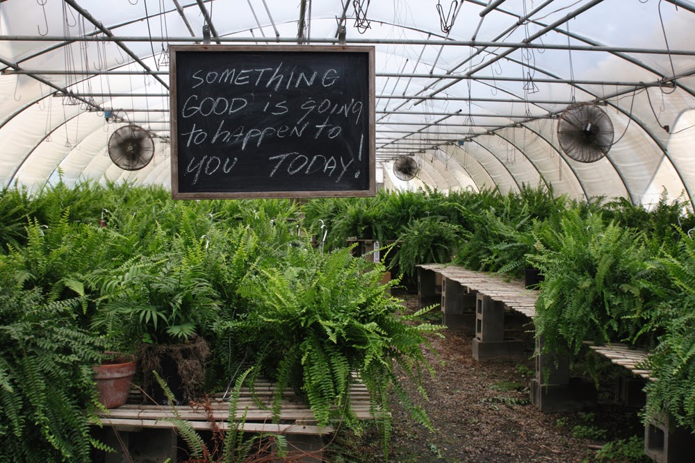 Donna Rosser Turnipseed Farm