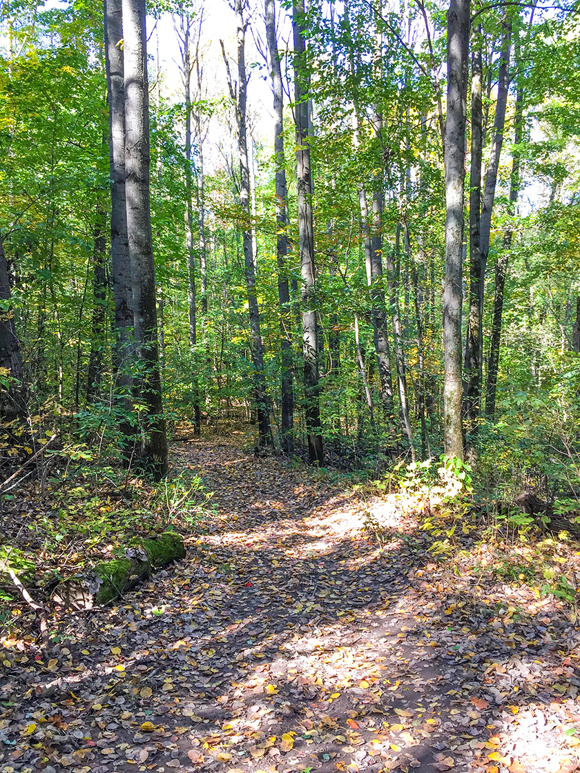 Upland Trail at Devil's Lake State Park