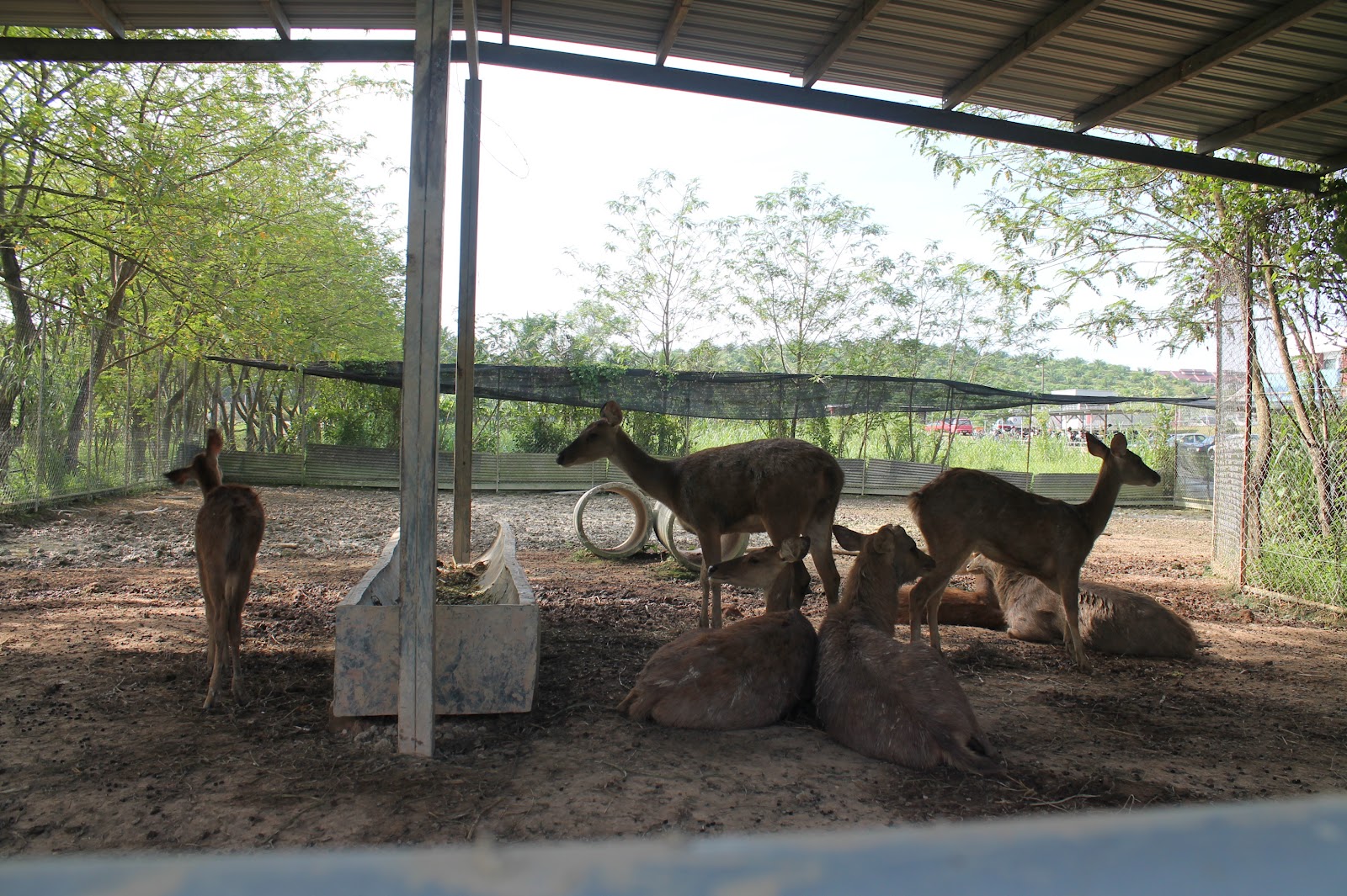 My Life..My Words... LA Goat Farm, Kluang