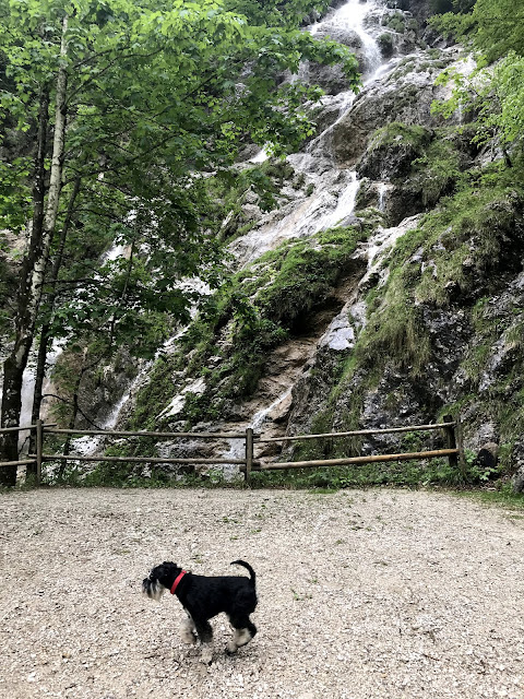 cascade Logarska Dolina Slovénie