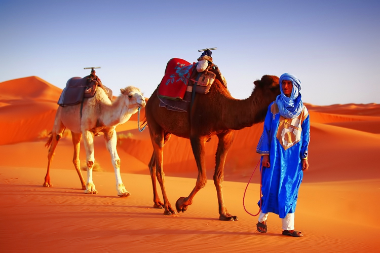 الصحراء المغربية 