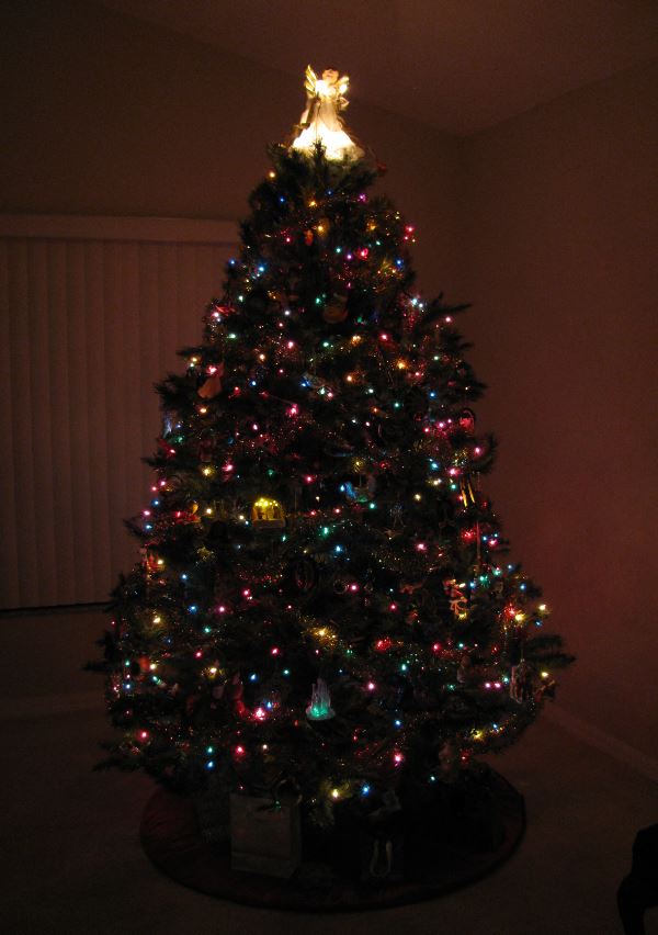 Kathryn's Quest Advent Calendar of Christmas Memories Christmas Trees