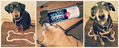 soggy doggy doormat rescue dog doberman hound