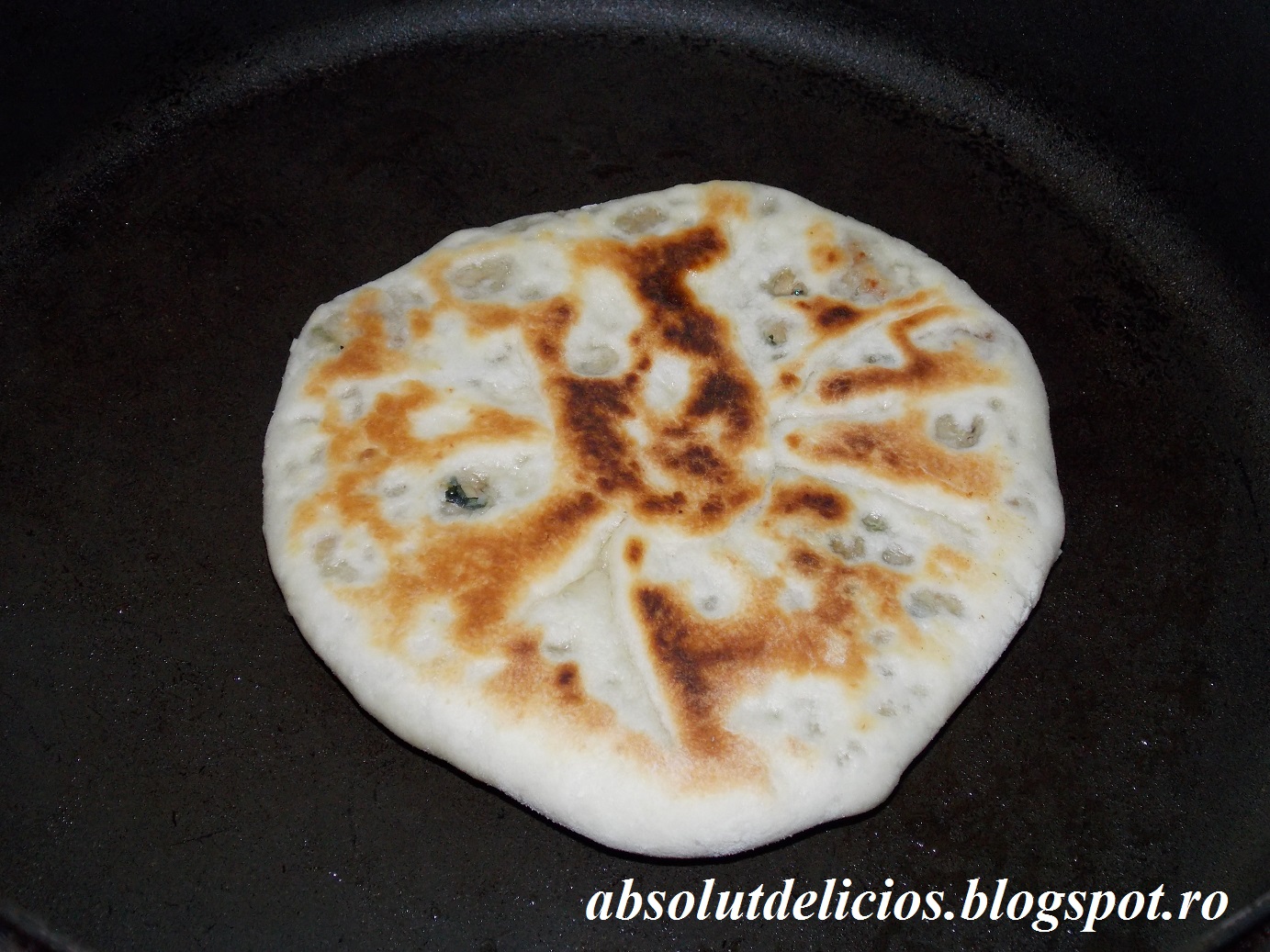 Absolut Delicios: PITA BREAD FILLED WITH MEAT AND MUSHROOMS