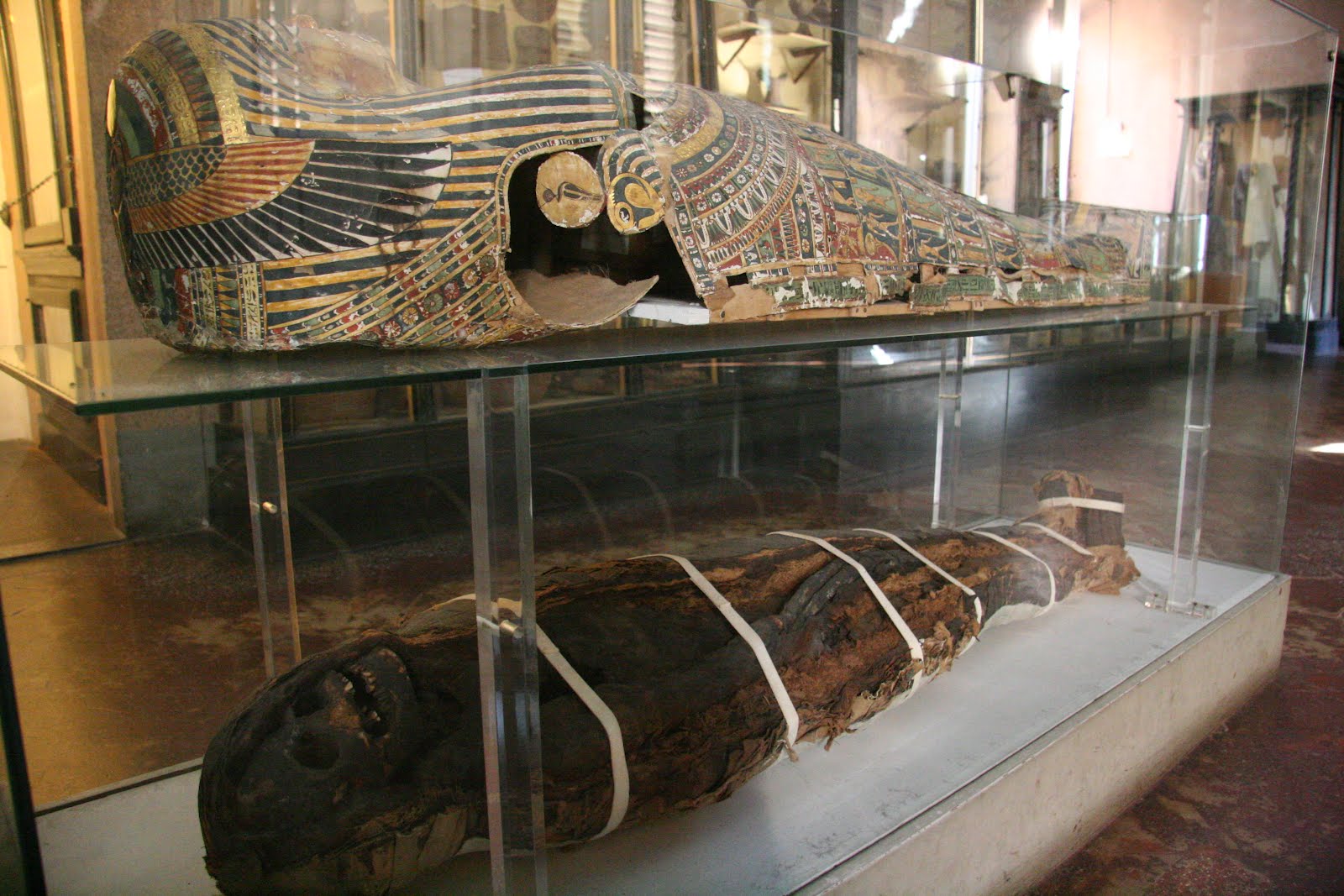 Il Museo Egizio di Firenze