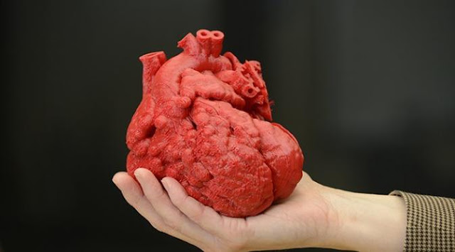  menyerupai yang telah dijelaskan pada bahasan sebelumnya merupakan organ vital yang mempunyai Inilah 9 Jenis Penyakit Jantung yang Berbahaya