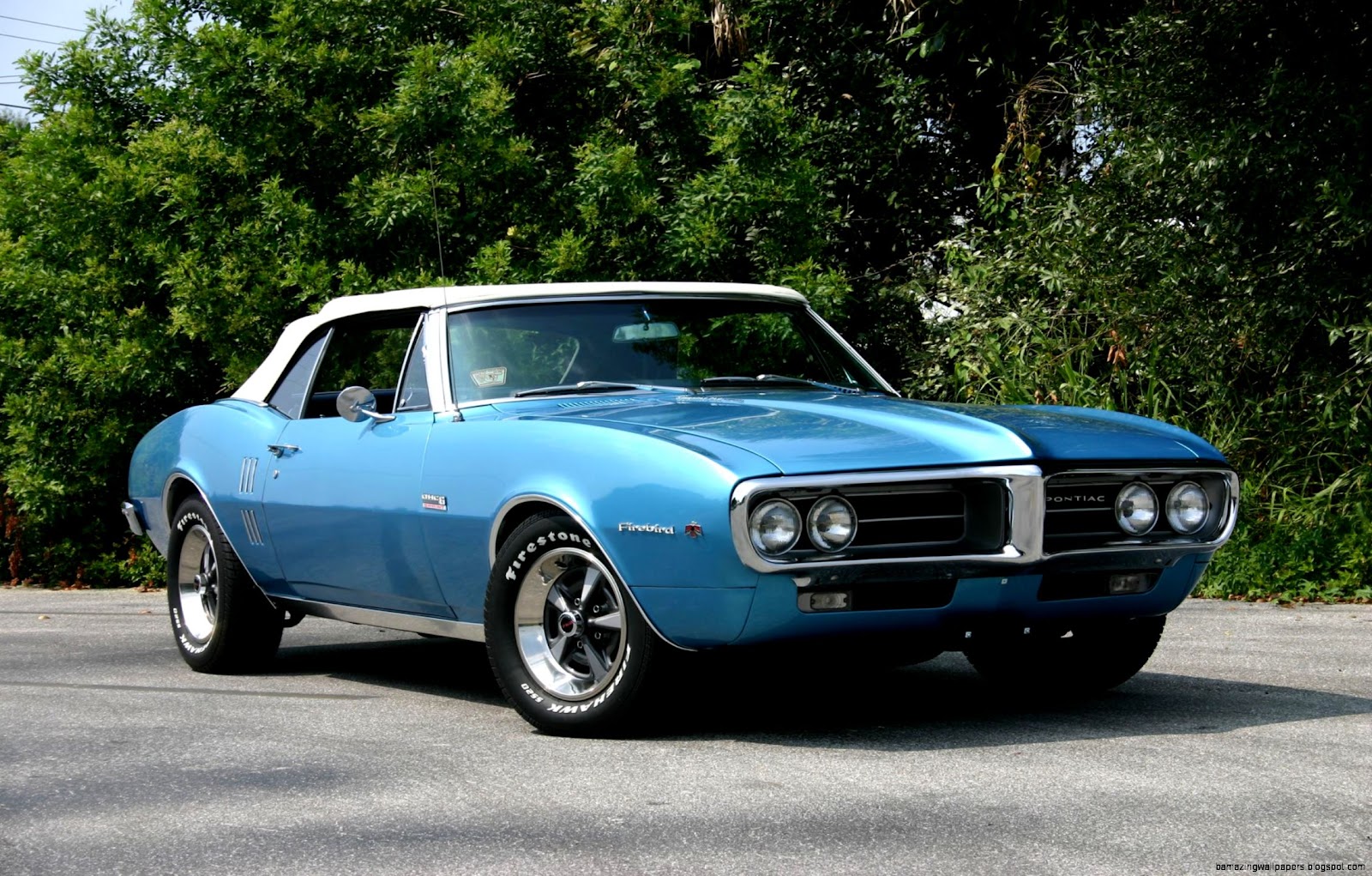 American Muscle Cars 3  NoNaMe