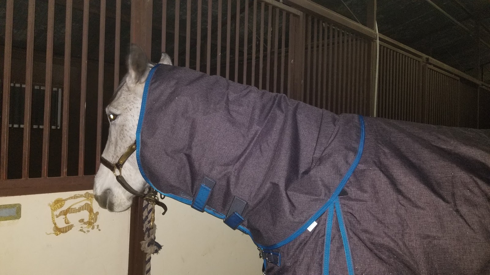 Gray Flannel Horses Greenhawk Shedrow North Combo Turnout Blanket