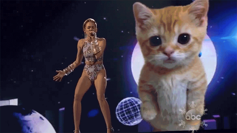 Miley Cyrus Cat Scratches Her In Attach