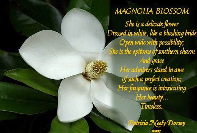 Reflections of a *Mississippi Magnolia*: THIS MISSISSIPPI GIRL LOVES ...