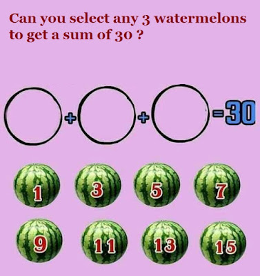 watermelon puzzle