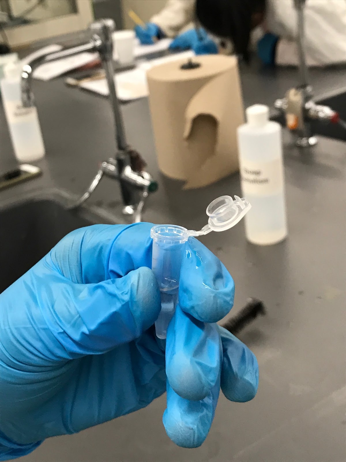 Preparation of esters pdf picture