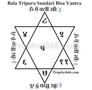Bala Tripura Sundari Bisa Yantra for wealth and money generation