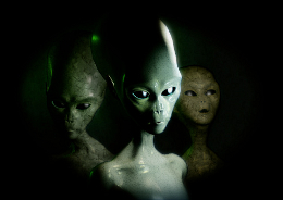 210909-54229-29