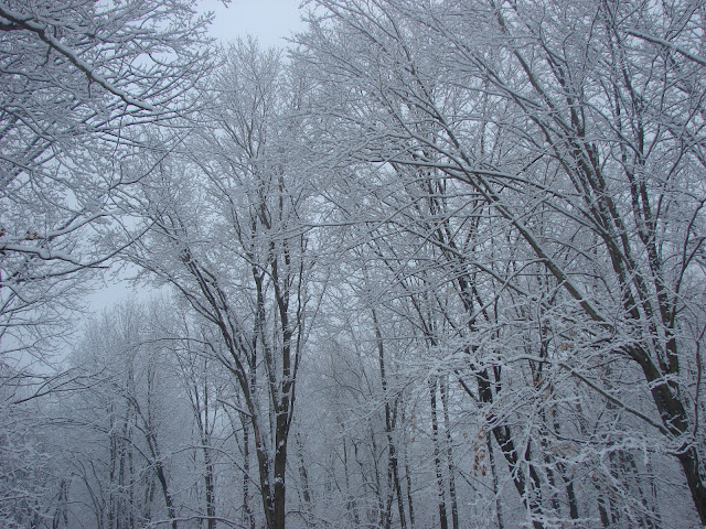 Pymatuning Photo Gallery: WINTER ON PYMATUNING LAKE Pymatuning Photo Gallery: WINTER ON PYMATUNING LAKE