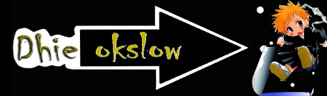 dhie okslow blog