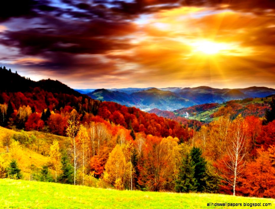 Cele mai frumoase imagini de toamna   de RUDI