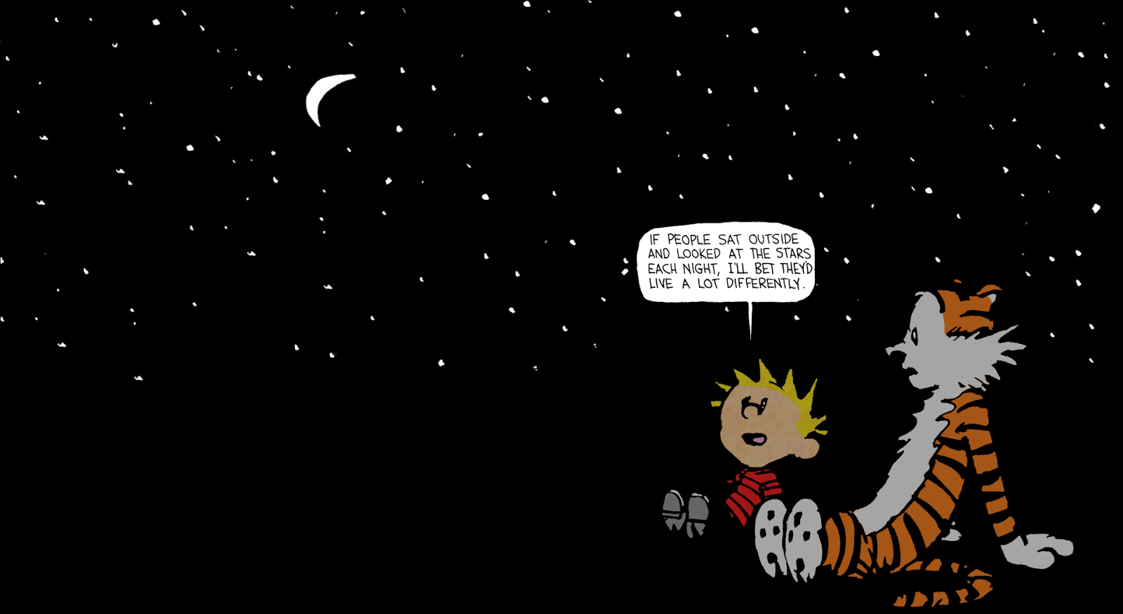 Calvin And Hobbes Comic Meaning