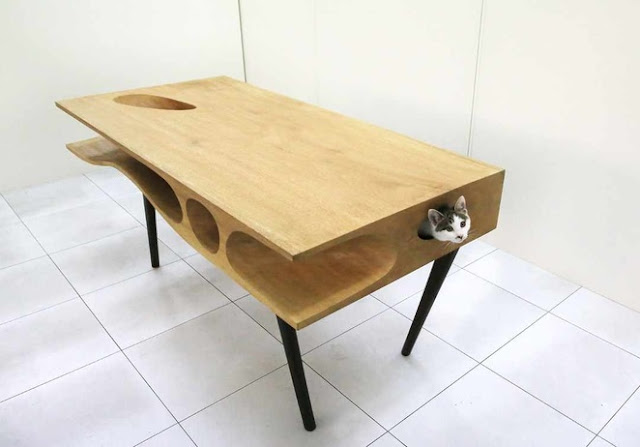 Cat Playing Table for All Cat Owner Needs!