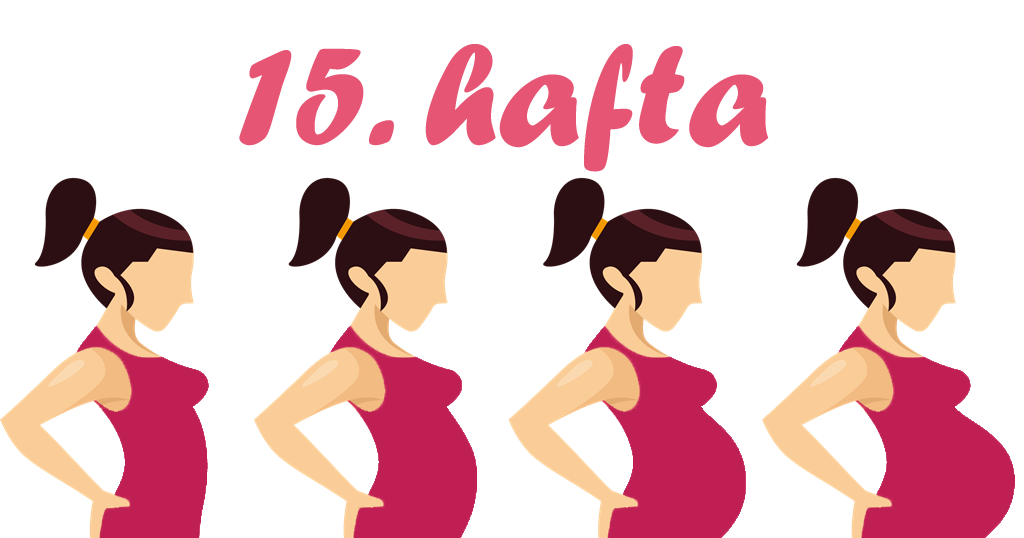 15 Haftalık Gebelikte Anne ve Bebek Ne Durumda