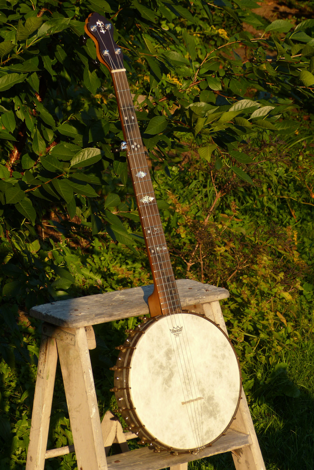 1900s Bruno 5String Openback Banjo