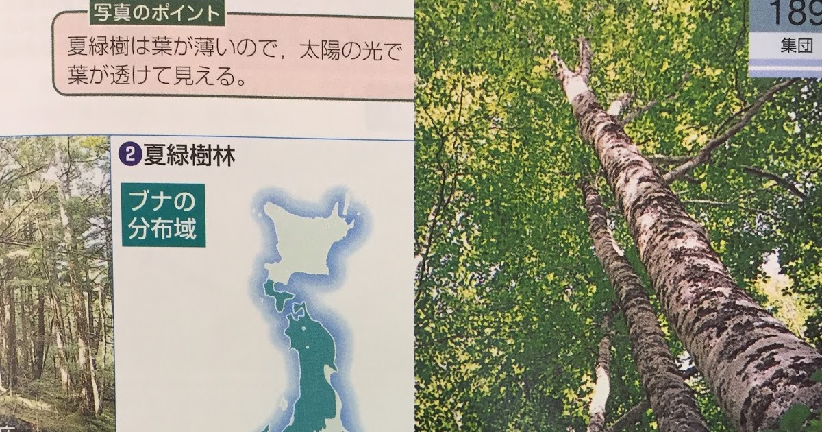 憂鬱な渇き けものフレンズは生物の教材であり かつ神話である けものフレンズ７話 じ ゃぱりとしょかん