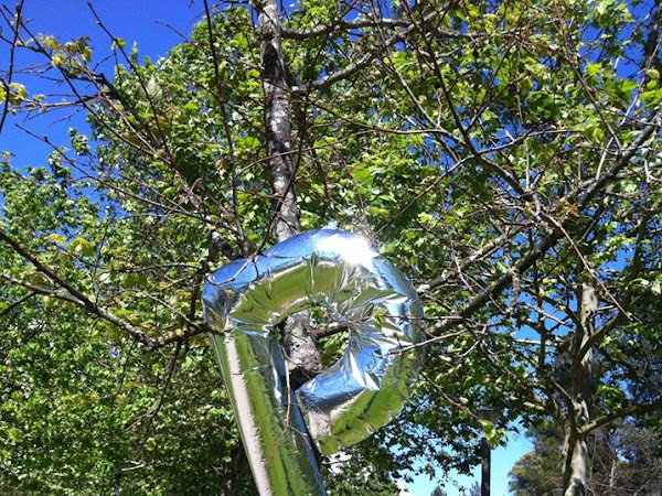 As coisas importantes da vida