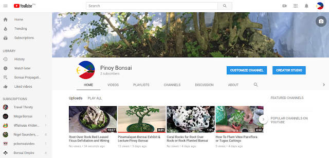 pinoy bonsai youtube channel