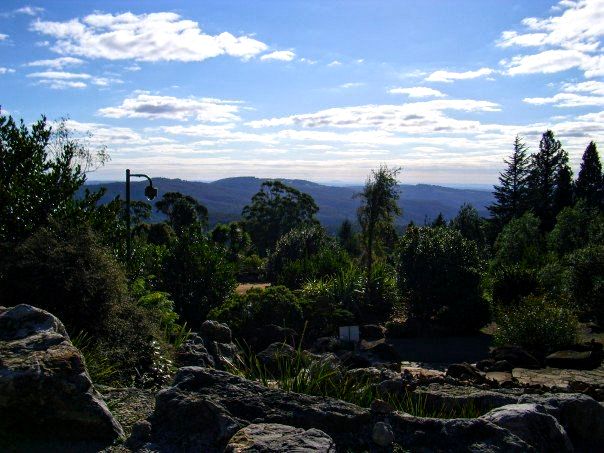 Mount Tomah Botanic Gardens Australia