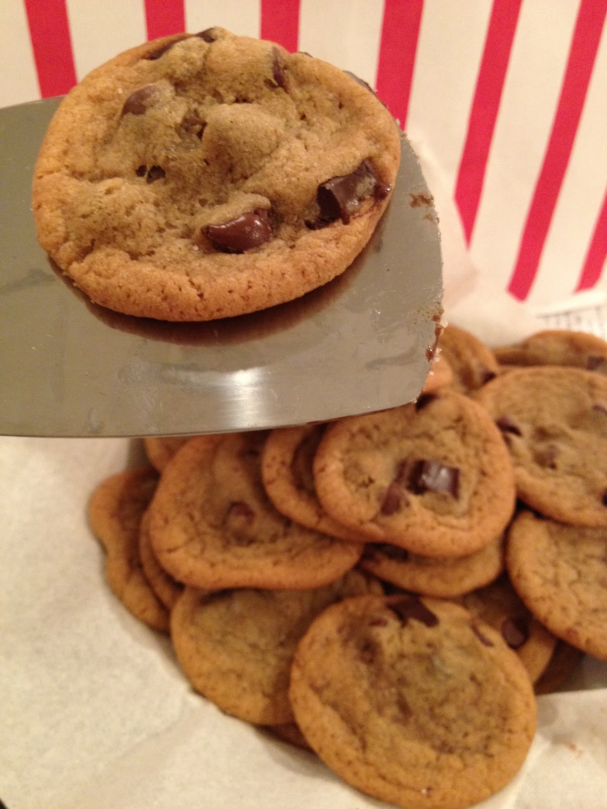 Made with Molasses Chocolate Chip Molasses Cookies