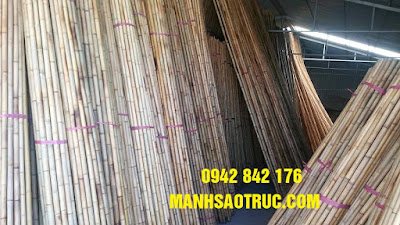 tre trúc trang trí